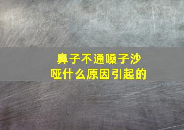 鼻子不通嗓子沙哑什么原因引起的