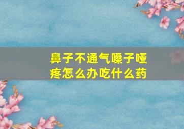 鼻子不通气嗓子哑疼怎么办吃什么药