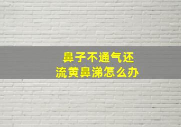 鼻子不通气还流黄鼻涕怎么办