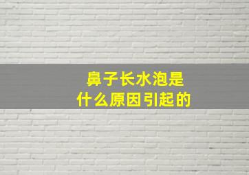 鼻子长水泡是什么原因引起的