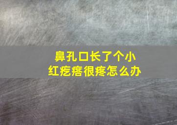 鼻孔口长了个小红疙瘩很疼怎么办