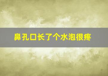 鼻孔口长了个水泡很疼