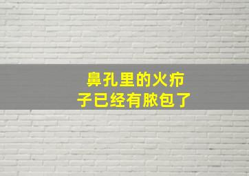 鼻孔里的火疖子已经有脓包了