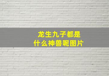 龙生九子都是什么神兽呢图片