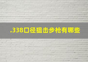 .338口径狙击步枪有哪些