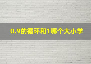 0.9的循环和1哪个大小学