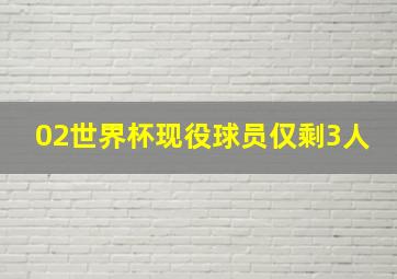 02世界杯现役球员仅剩3人