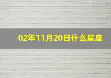 02年11月20日什么星座