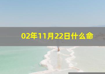 02年11月22日什么命