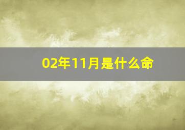 02年11月是什么命