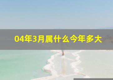 04年3月属什么今年多大