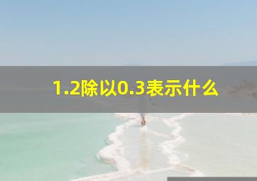 1.2除以0.3表示什么