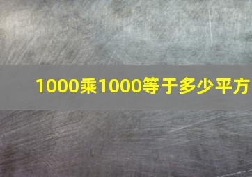 1000乘1000等于多少平方