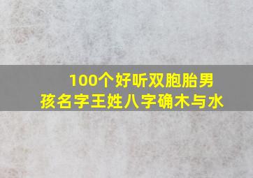 100个好听双胞胎男孩名字王姓八字确木与水