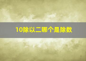 10除以二哪个是除数