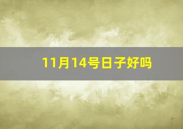 11月14号日子好吗