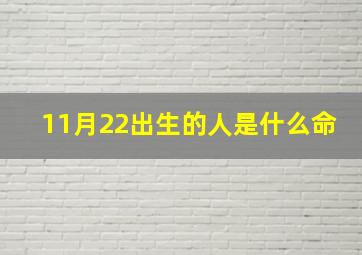 11月22出生的人是什么命