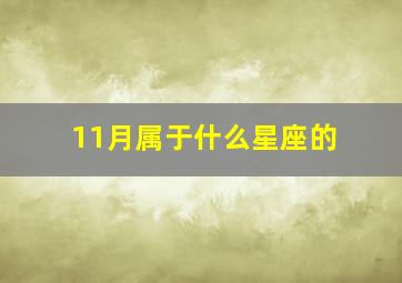 11月属于什么星座的