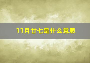 11月廿七是什么意思