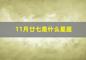 11月廿七是什么星座