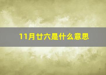 11月廿六是什么意思