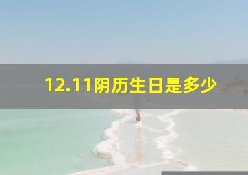 12.11阴历生日是多少