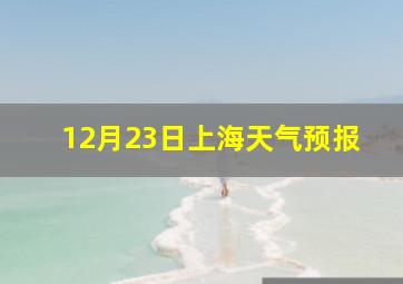 12月23日上海天气预报