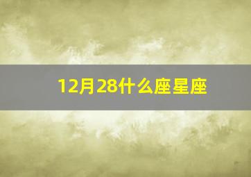 12月28什么座星座