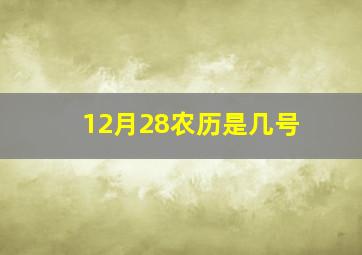 12月28农历是几号