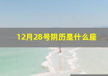 12月28号阴历是什么座