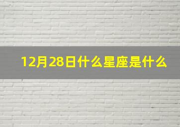 12月28日什么星座是什么