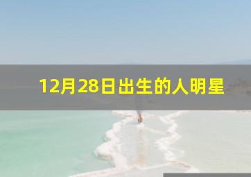 12月28日出生的人明星