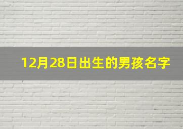 12月28日出生的男孩名字