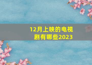 12月上映的电视剧有哪些2023