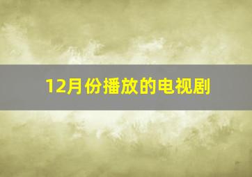 12月份播放的电视剧