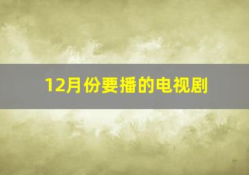 12月份要播的电视剧