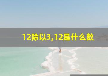 12除以3,12是什么数