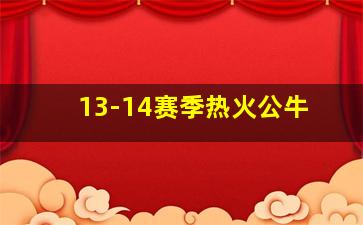 13-14赛季热火公牛