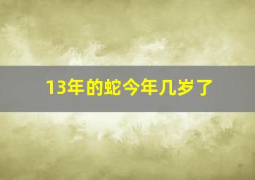 13年的蛇今年几岁了