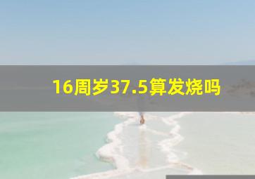 16周岁37.5算发烧吗