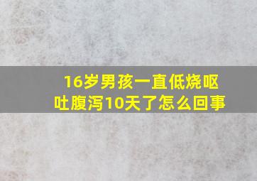 16岁男孩一直低烧呕吐腹泻10天了怎么回事