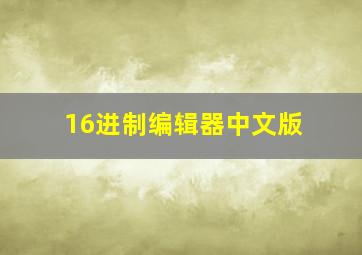 16进制编辑器中文版