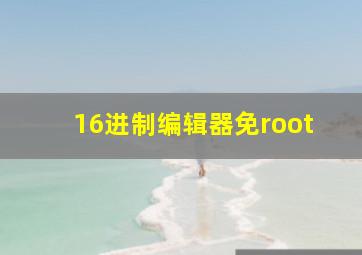 16进制编辑器免root