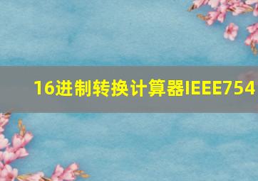 16进制转换计算器IEEE754