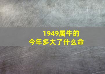 1949属牛的今年多大了什么命