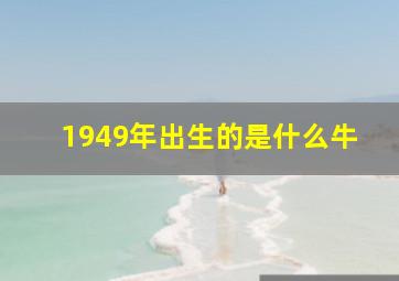 1949年出生的是什么牛