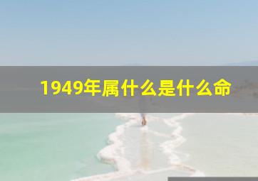 1949年属什么是什么命