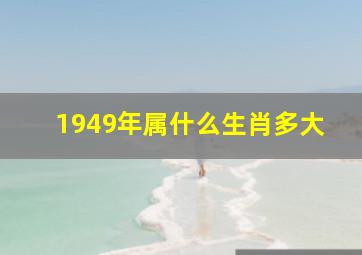 1949年属什么生肖多大