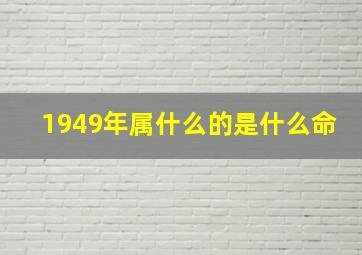 1949年属什么的是什么命