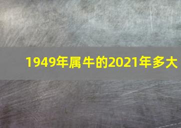 1949年属牛的2021年多大